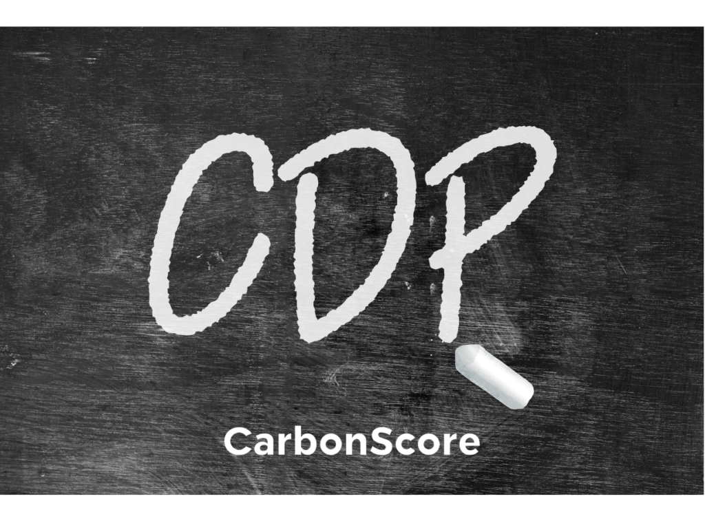 Wat is de CDP?